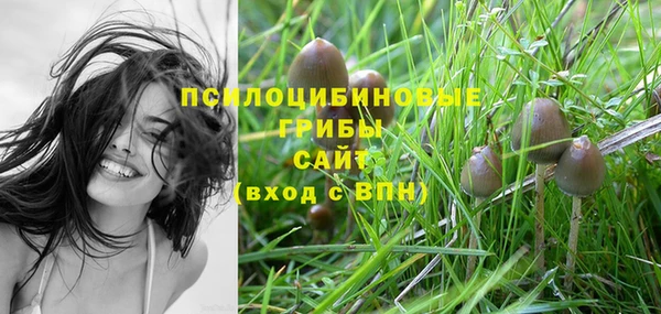 стаф Абаза