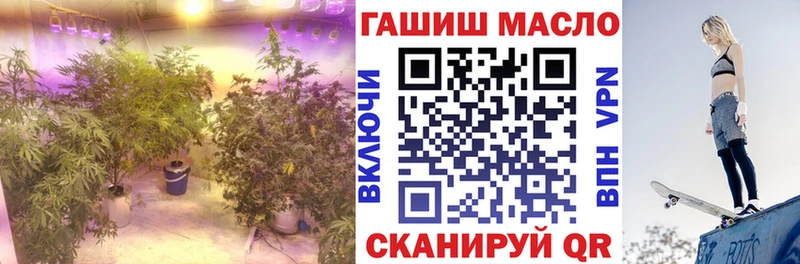 KRAKEN ссылка  Пойковский  ТГК Wax  где найти  