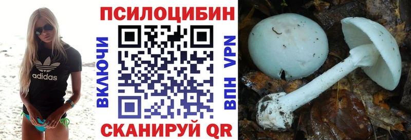KRAKEN маркетплейс  площадка состав  Пойковский  Галлюциногенные грибы Psilocybe  как найти закладки 